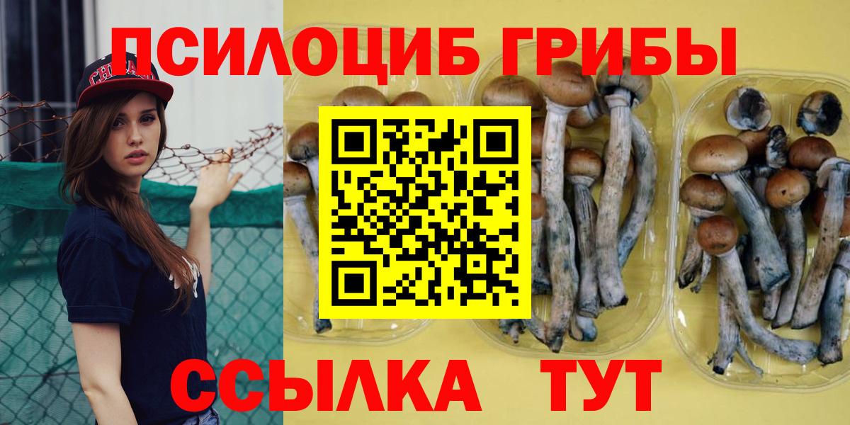 Добрянка  Псилоцибиновые грибы MAGIC MUSHROOMS  Галлюциногенные грибы мицелий  Вход с VPN 