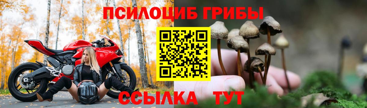 Галлюциногенные грибы прущие грибы Добрянка
